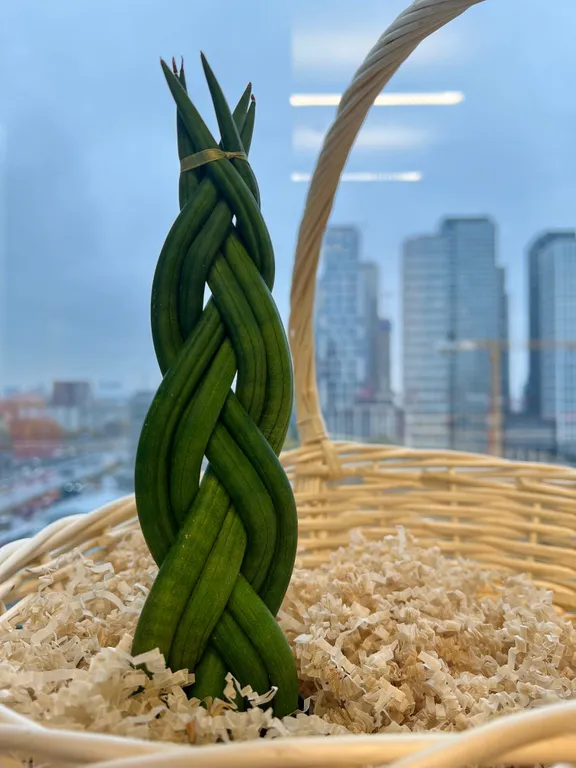 Квартира Уютная 3-комнатная квартира у 3 вокзалов с приветственным завтраком — Москва