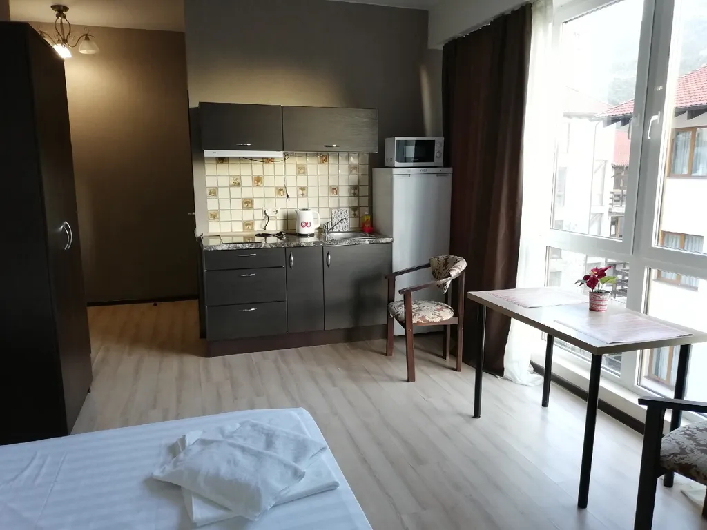 Студия с видом на горы и балконом