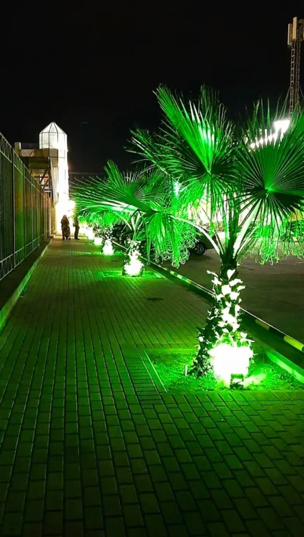 Квартира 1-комнатная Квартира — Сириус