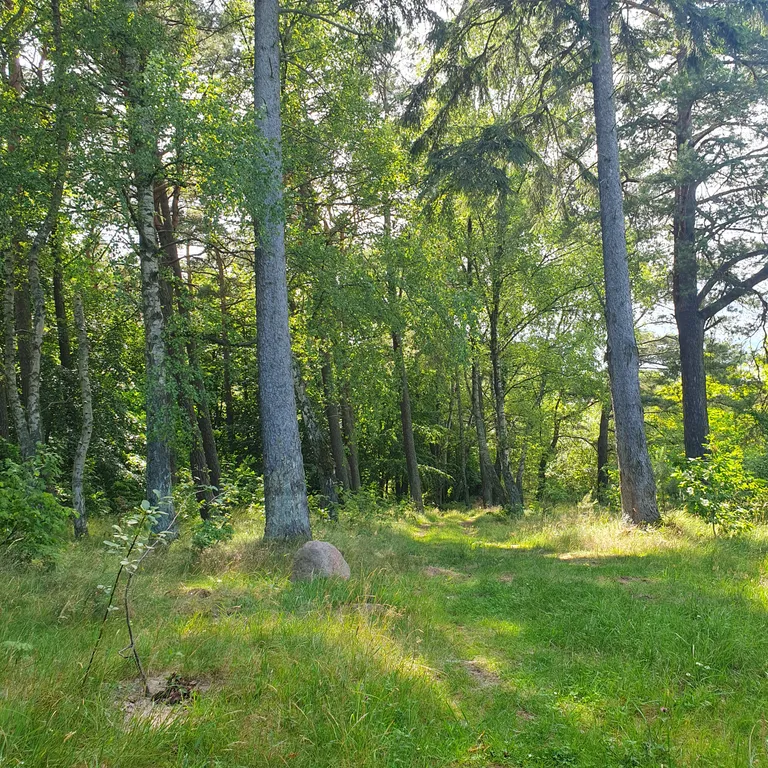 Уютная квартира около леса