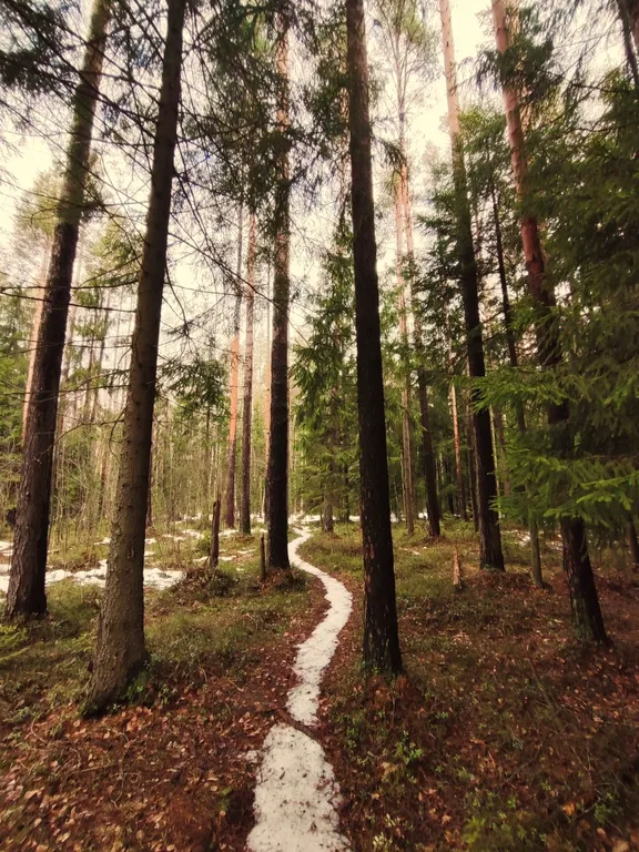 Вилла с гриль-верандой, сауной, купелью и джакузи