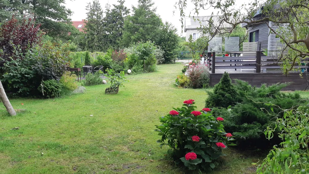 Коттедж Домик Браун на Куршской косе — Рыбачий