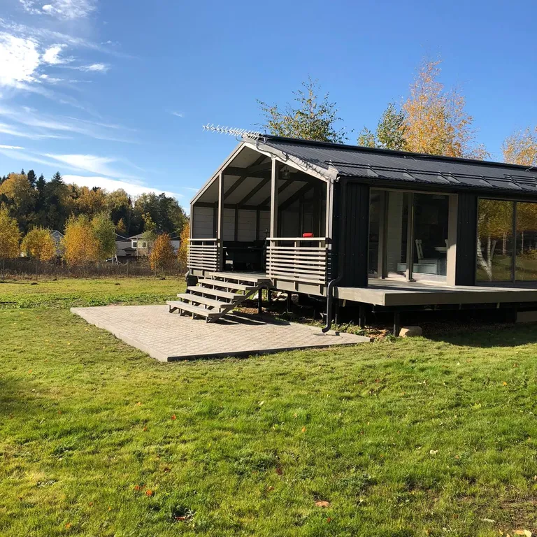 Дом носорога с камином