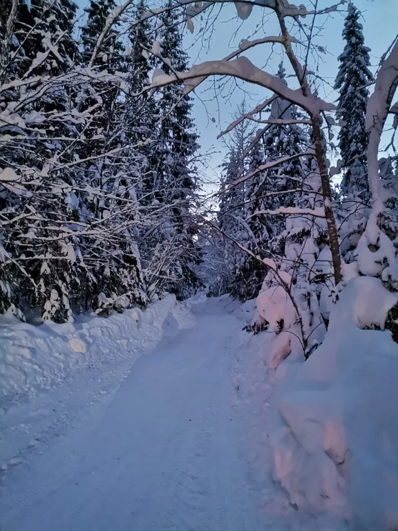 Хутор Лампи