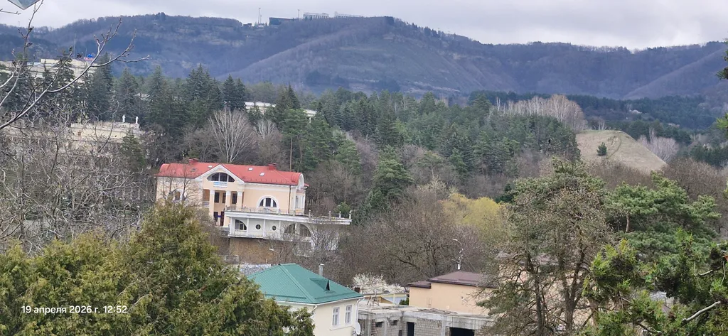 Большая квартира в парке