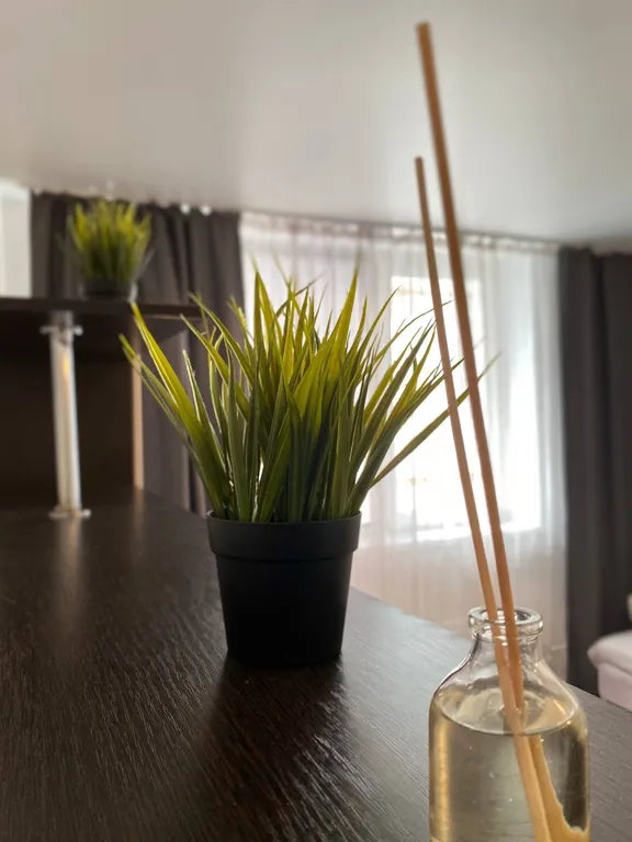 Уютная студия