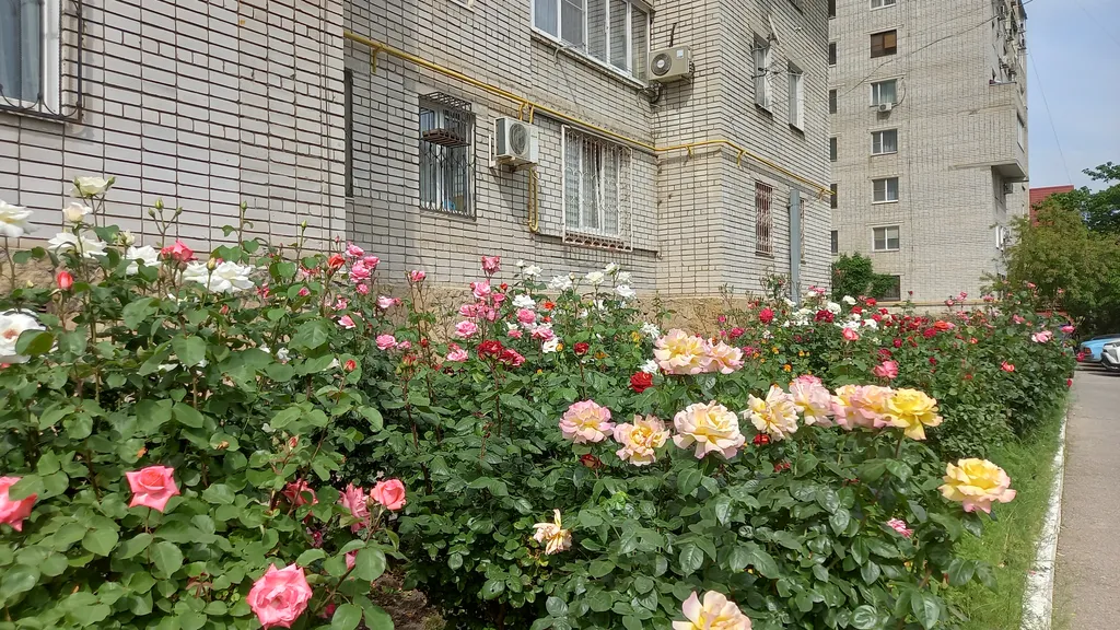 Квартира Просторная квартира в центре — Краснодар