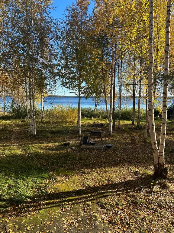 Дом прямо на берегу Беломоро-Балтийского канала "Дикая клюква"