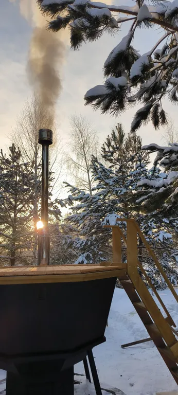 Современный дом в сосновом лесу в 30 минутах от аэропорта