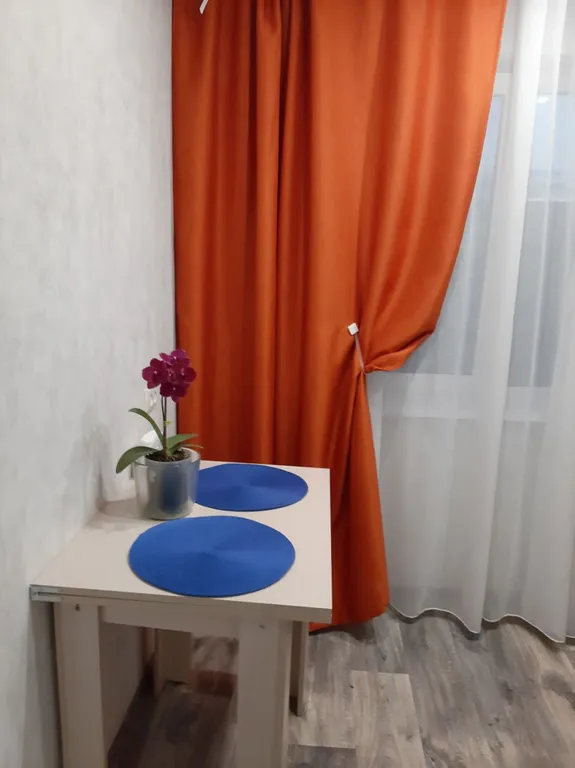 Двухкомнатная квартира в центре города