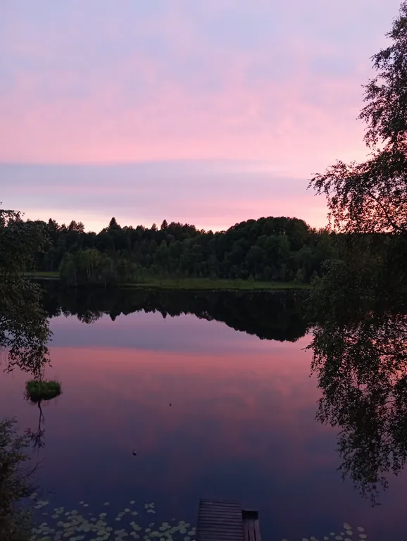 Меличуярви дом из бревна с сауной на берегу озера у самого леса