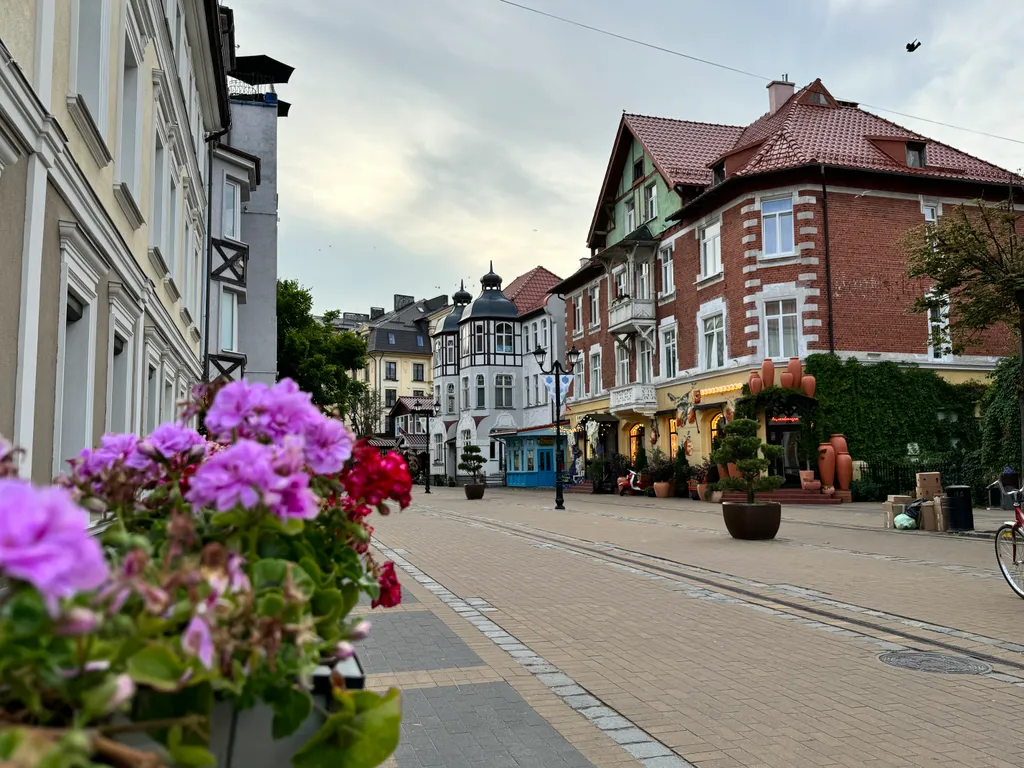 Мяу-квартира на Курортном проспекте