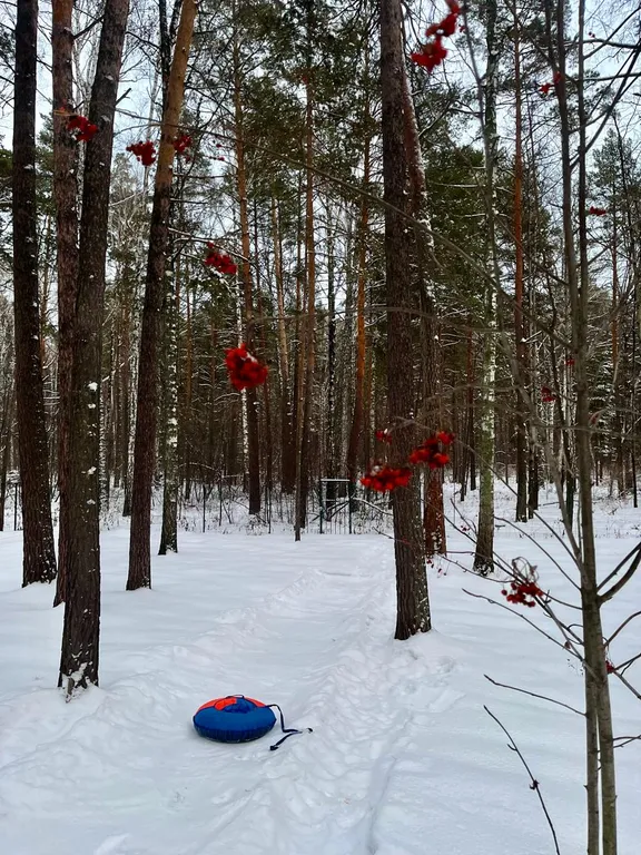 Гостевая часть дома в сосновом бору у реки