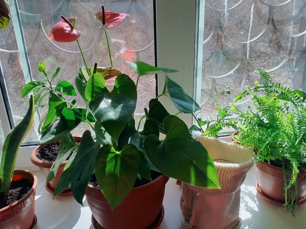 1-комнатная квартира в районе городского парка в центре Владивостока