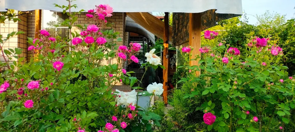 Коттедж Апартамент в курортной зоне с видом на горы — Горячий Ключ