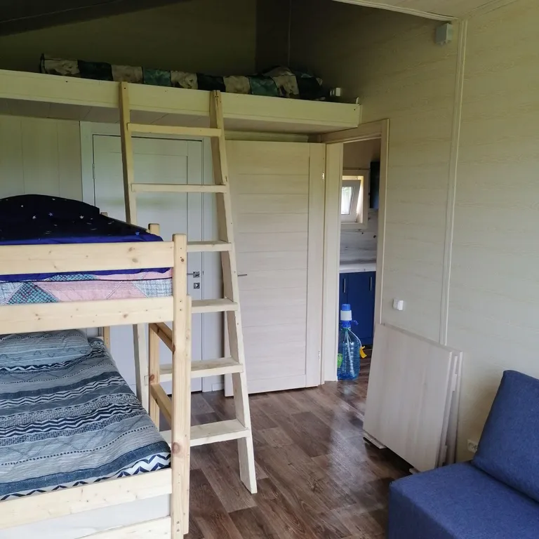 Глэмпинг Папоротник