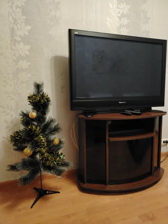 Большая двушка у Ледового дворца