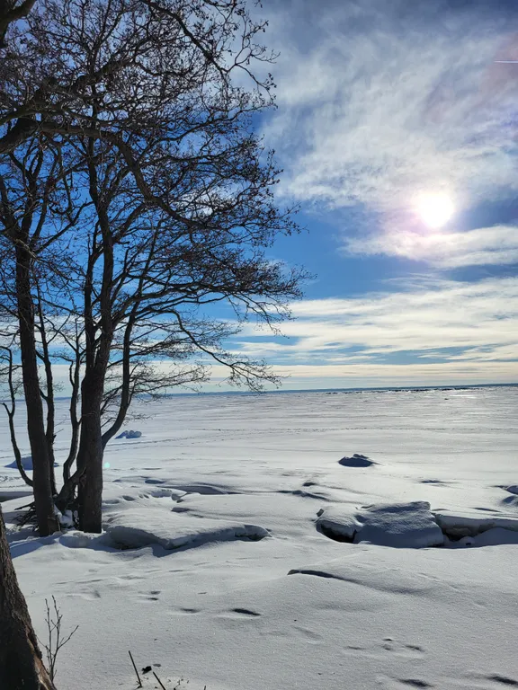 Стильный дом у озера Разлив