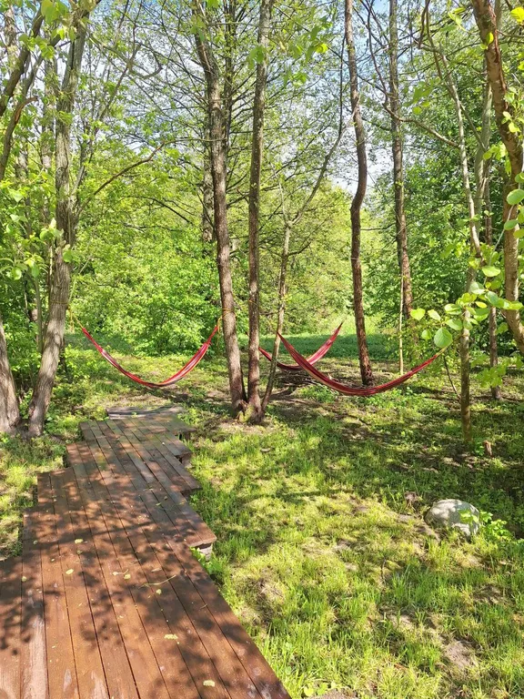 Красивый дом для идеального отдыха