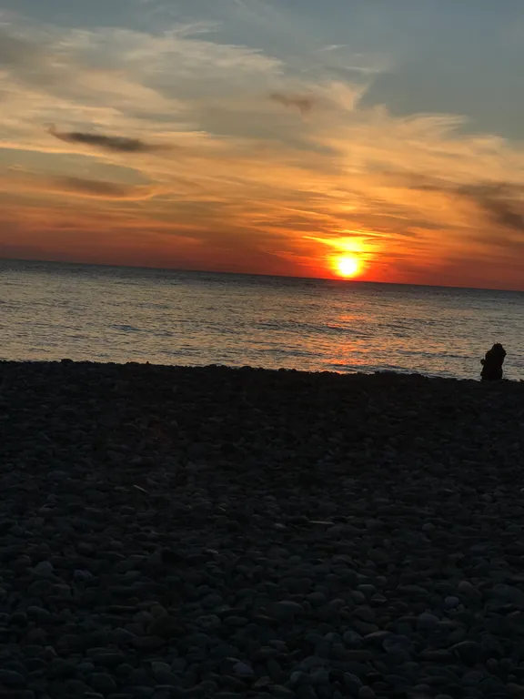 Квартира Делюкс комната с удобствами в лучшем районе Сириуса — Сириус