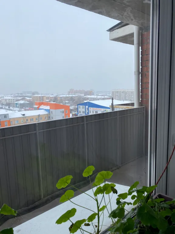 Квартира в десяти минутах от центра