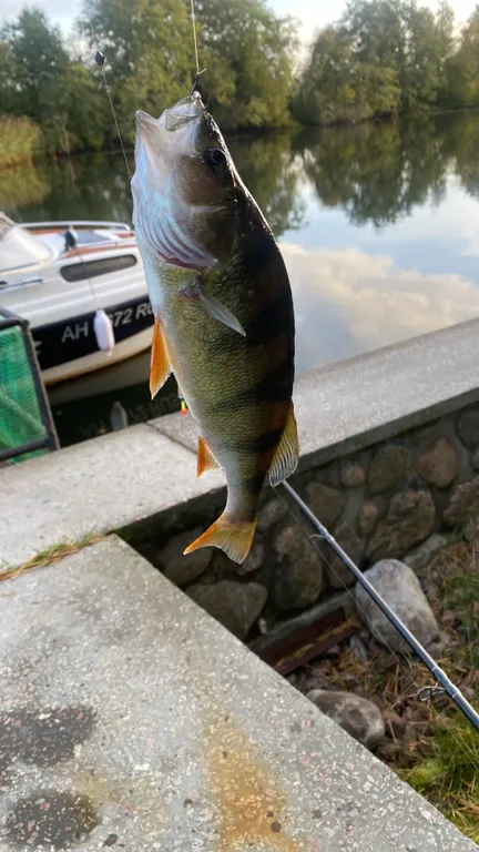 Коттедж на берегу реки с собственным пирсом