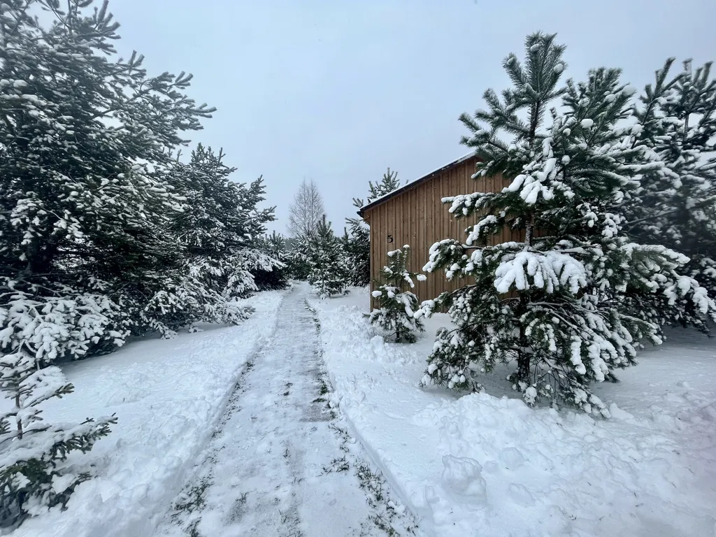 Коттедж 42 метра в лесу у пруда