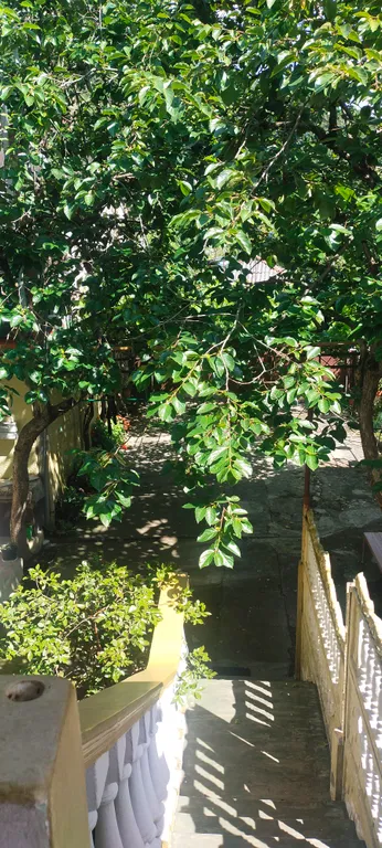 3-местный номер стандарт