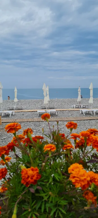 Апартаменты у моря с теплым бассейном