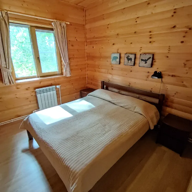 Дом на берегу озера с панорамным видом на лес