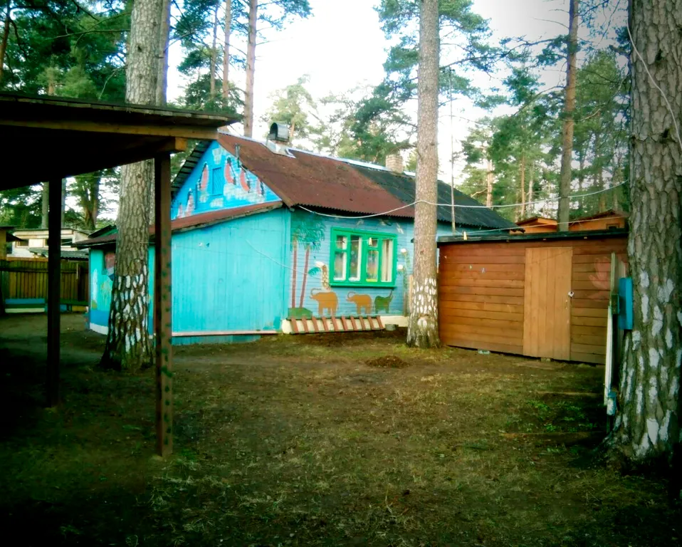 Дом на Селигере