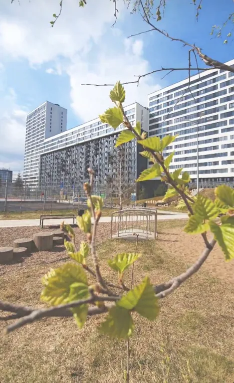 Просторная уютная студия с панорамным остеклением в тихий двор