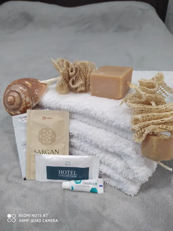 Квартира Уютная квартира с видом на лес — Светлогорск