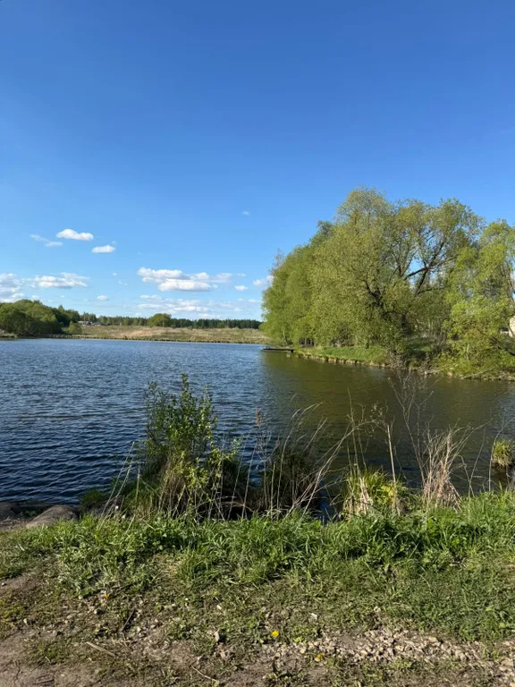 Атмосферный и уютный дом в окружении природы