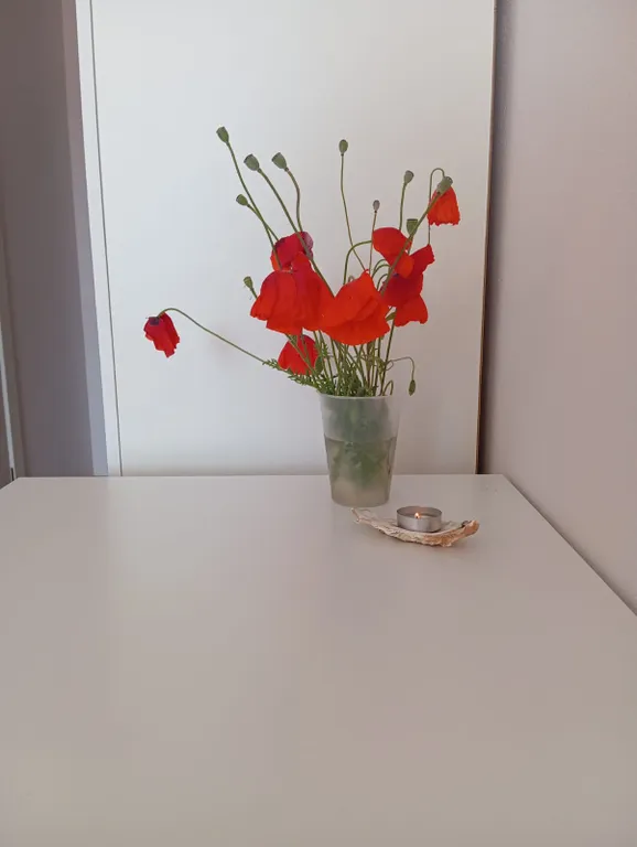 Квартира Квартира Солнечная студия на Азовском море — Кучугуры