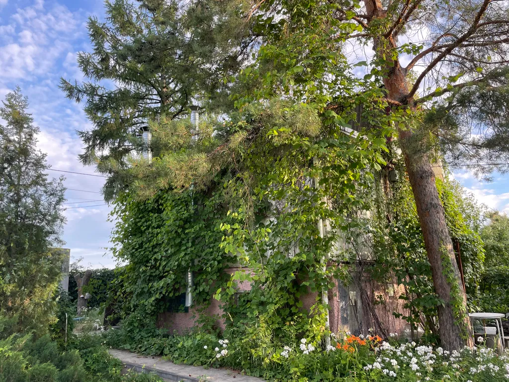 Коттедж Уютная Зеленая дача c видом на Волгу — аренда посуточно в Саратов