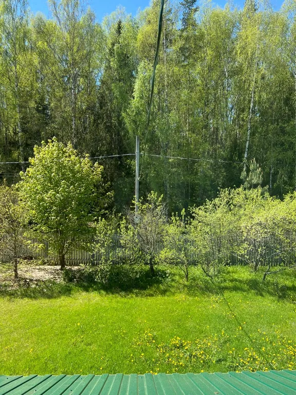 Дом у леса. Свободные даты