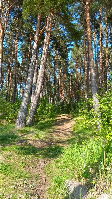 Квартира Квартира Домик у моря на Балтике — Приморск