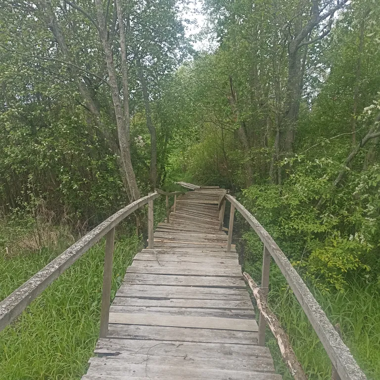 Уютный дом на берегу реки в 10 км от центра города Выборга