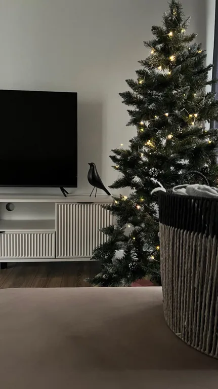 Квартира Апартаменты Улитка и Кит — Светлогорск