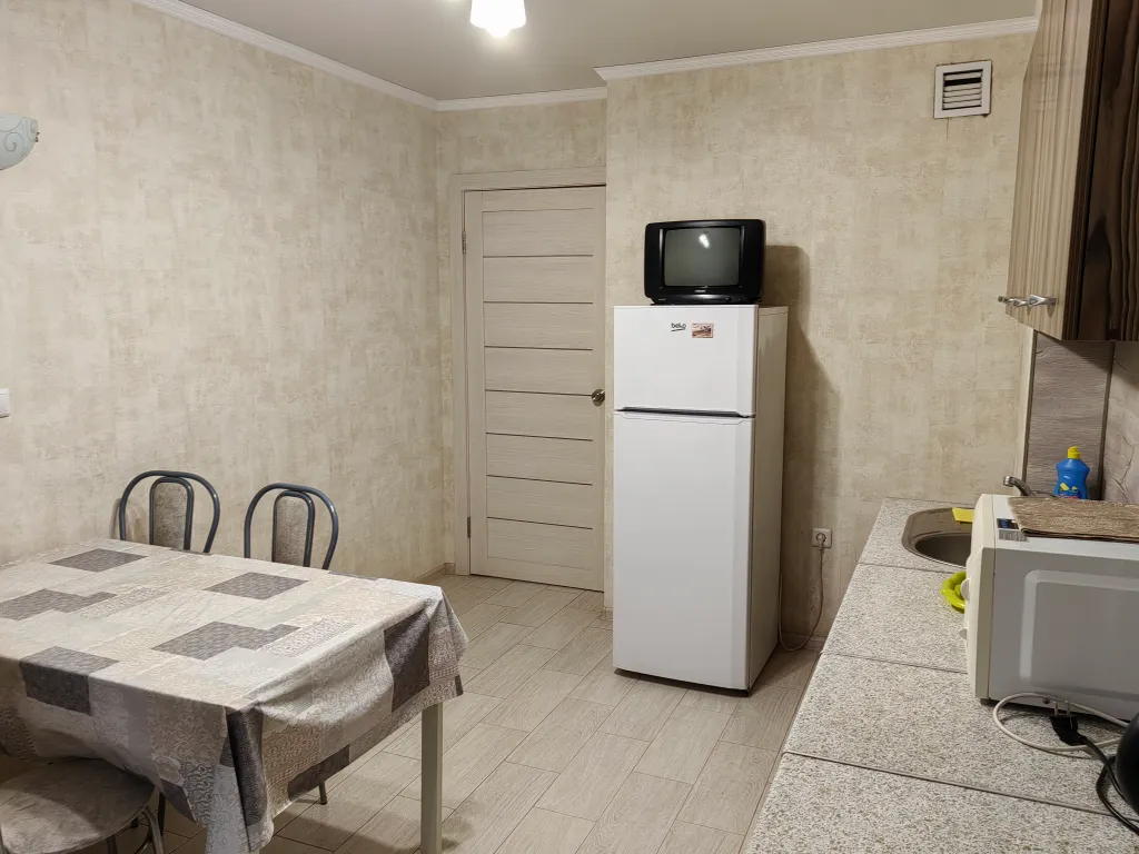 Квартира 1 комнатная квартира в шаговой от Аквапарка — Казань
