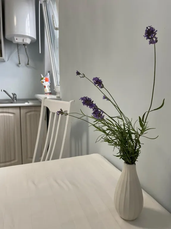 Квартира 1-комнатная Квартира — Геленджик