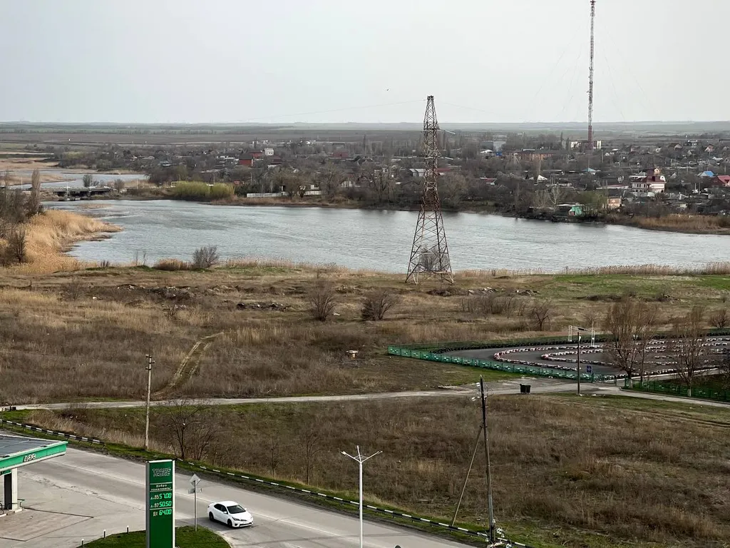 Grеen wood возле залива