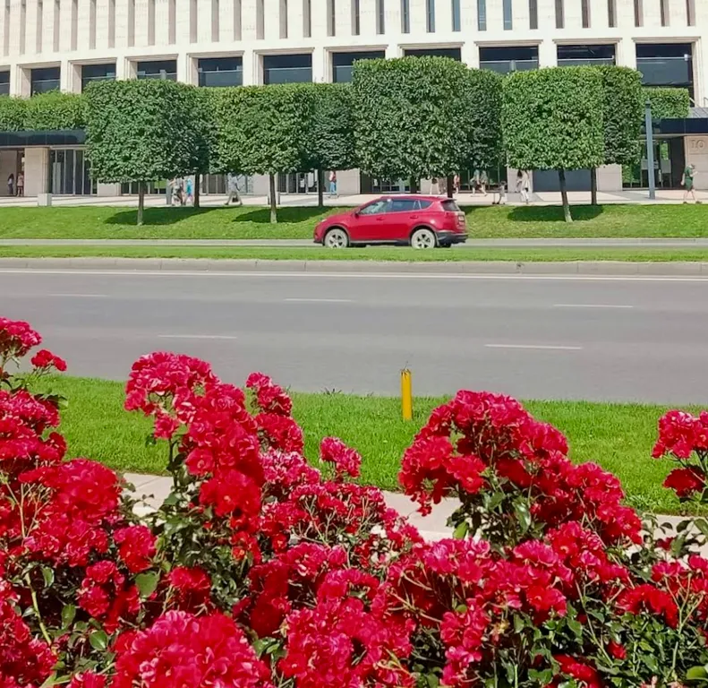 Квартира 1-комнатная Квартира — Краснодар