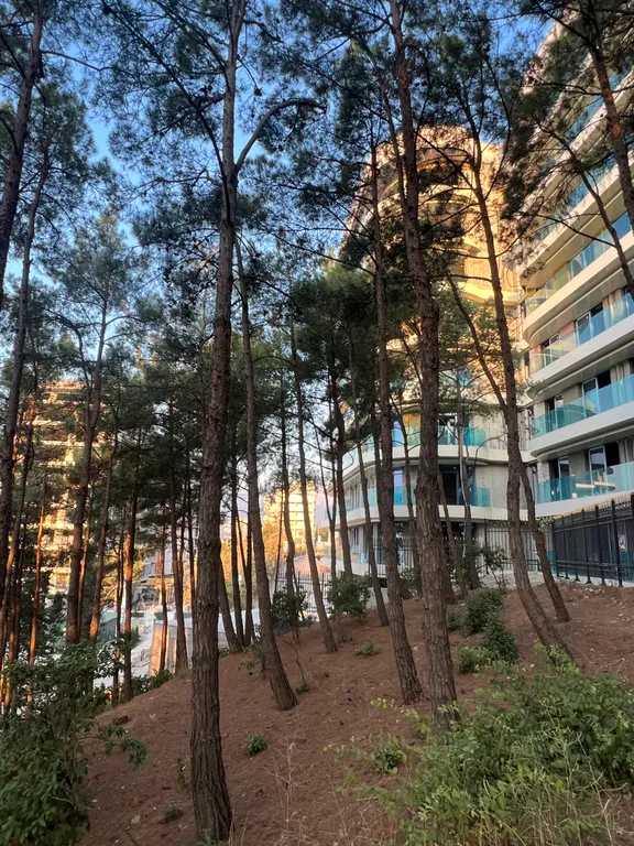 Апартаменты в вечнозелёном парке у моря