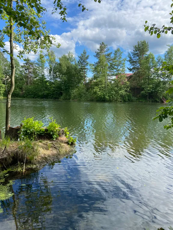 Большой дом среди сосен