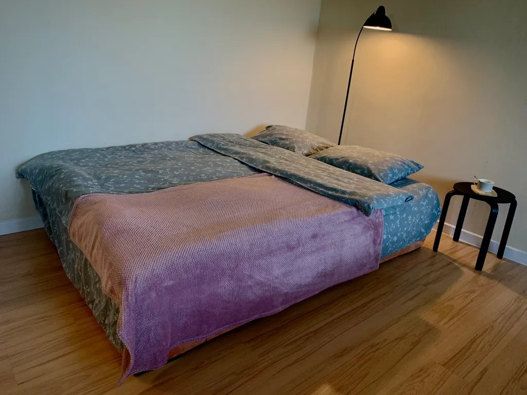 Однокомнатная квартира на Древлянке