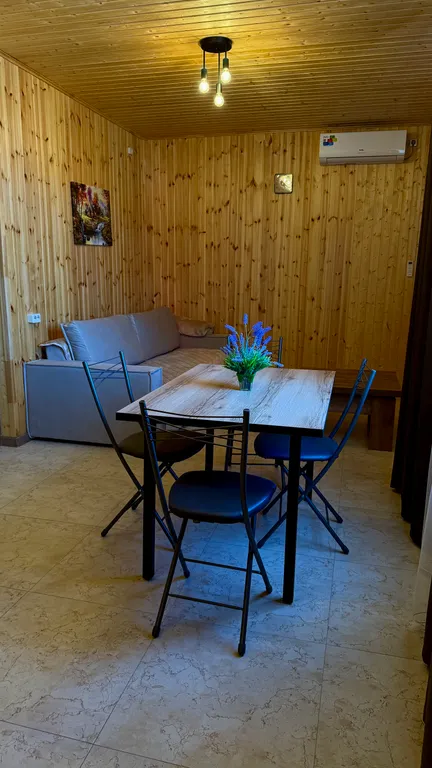 Дом с бассейном и баней