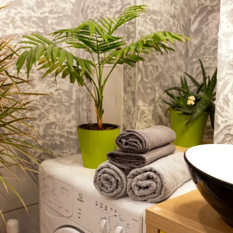 Студия Сокол в Олимпийском городке