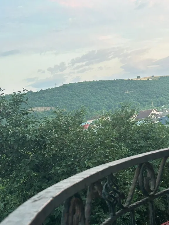 Guest house 119 с видом на горы, лес, двор